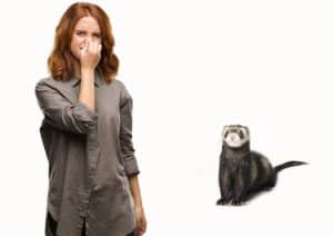 Woman blocking her nose due to ferret odor