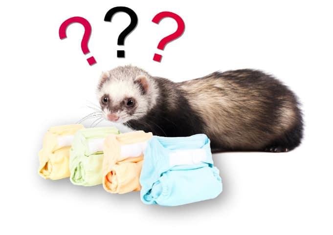 ferret and some diapers